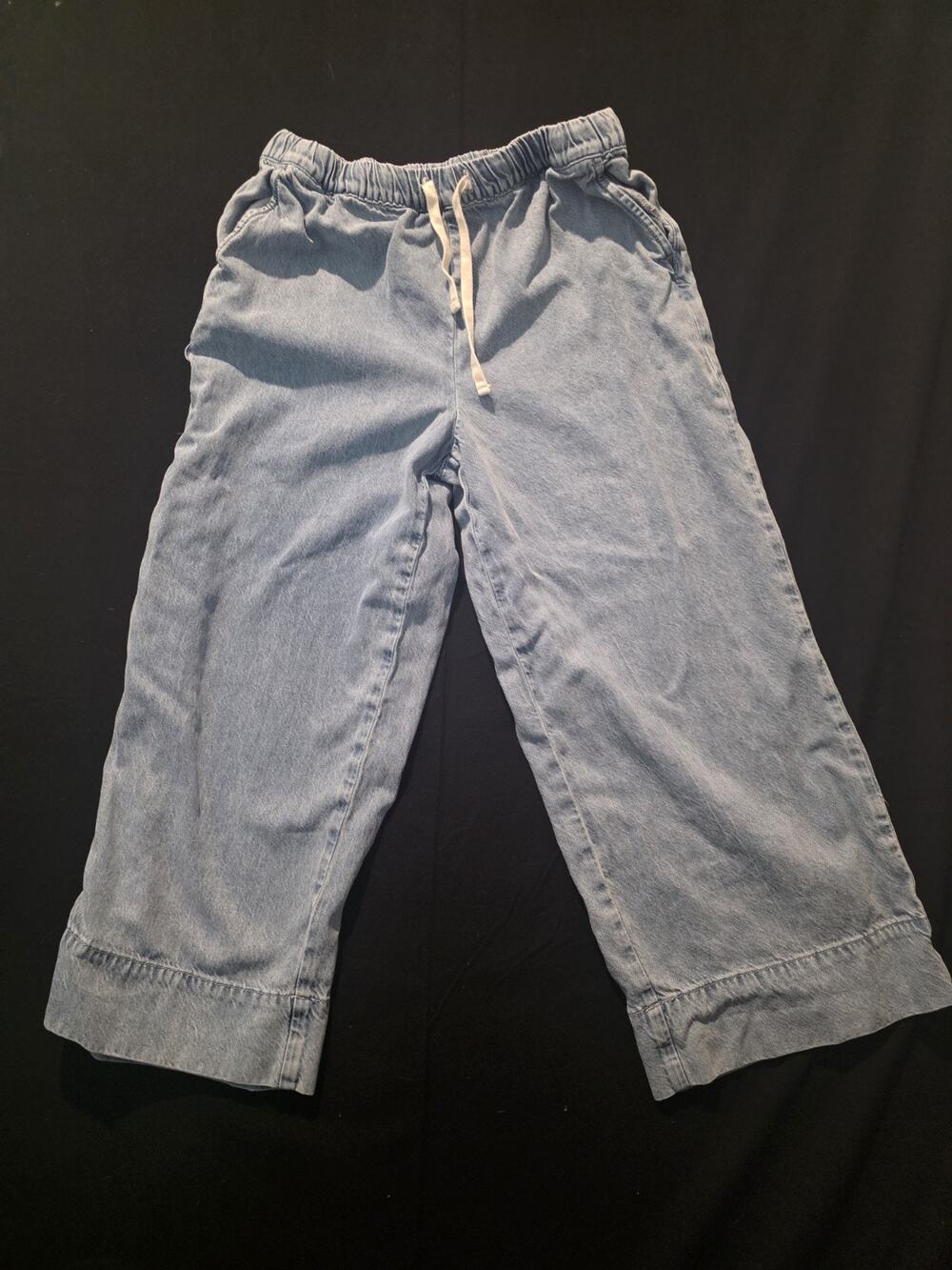 Z Supply Weston Twill Pant Vintage Indigo Light Blue Wide Leg ZP252766 XL NWOT